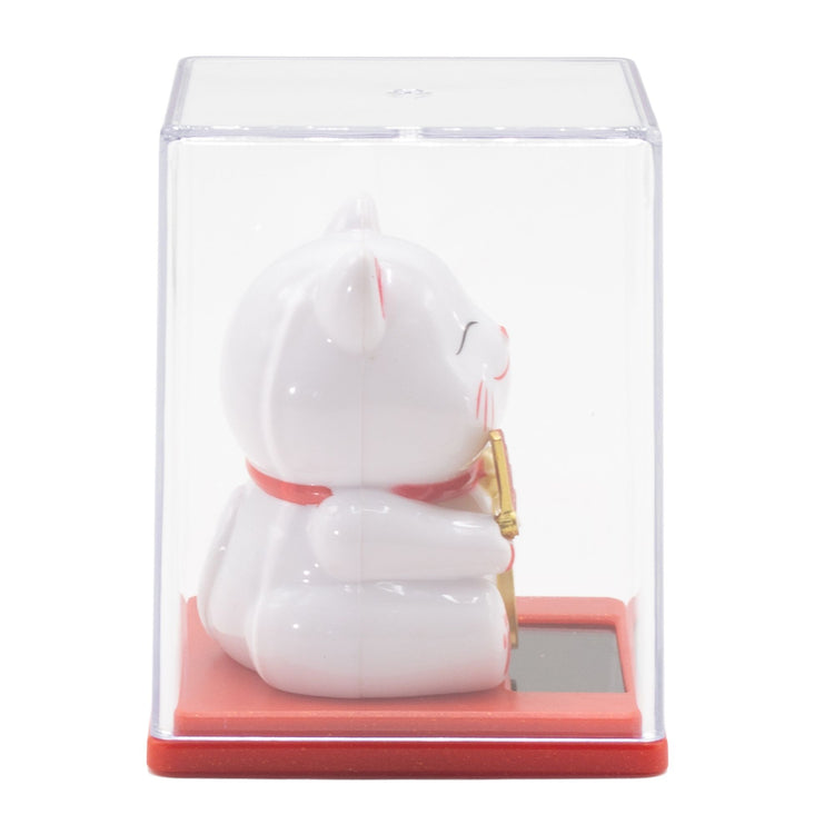 Mini Gato de la Suerte Solar Blanco en Caja