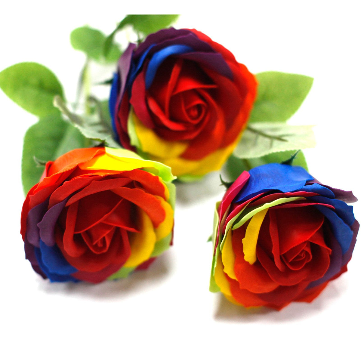 Rosa simple - Arcoíris