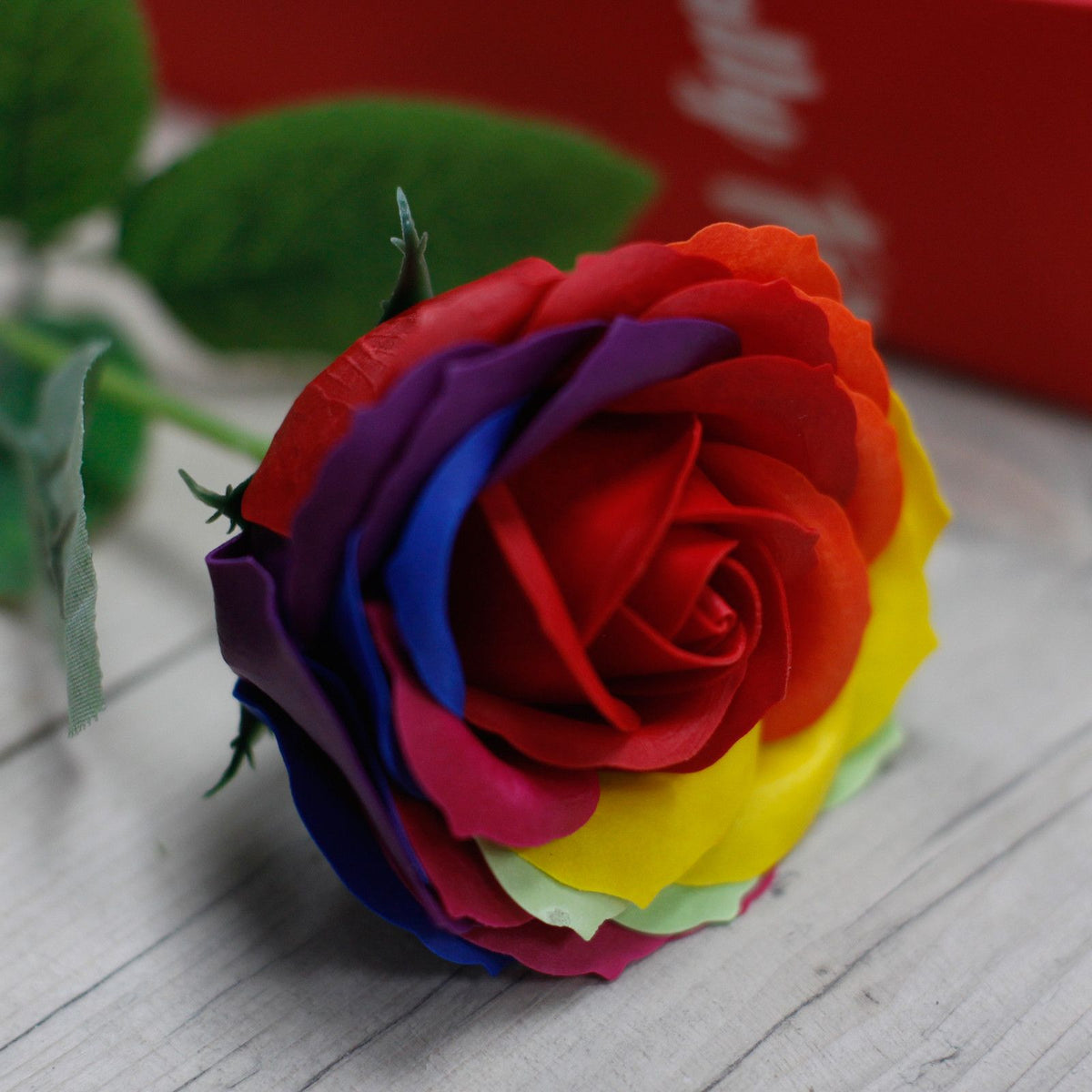 Rosa simple - Arcoíris