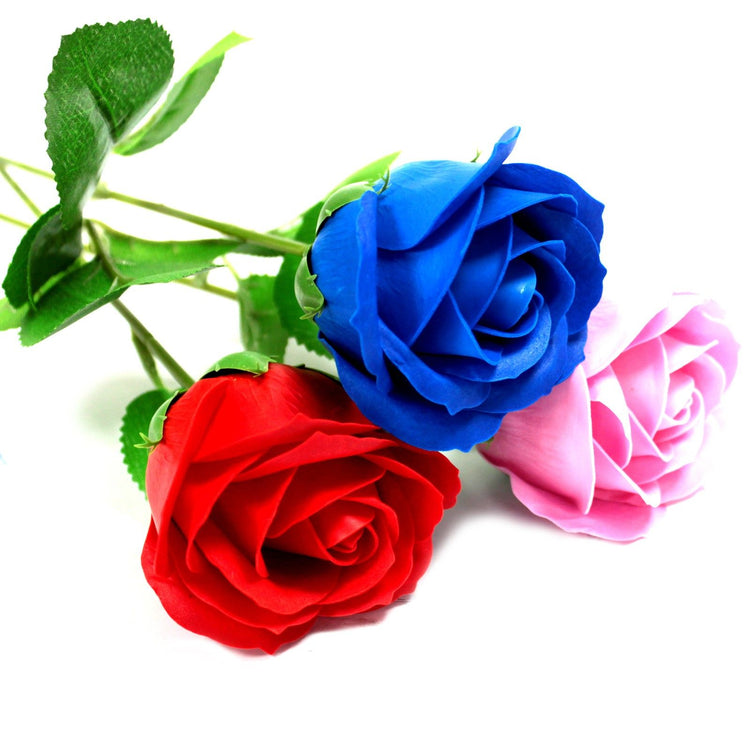 Rosa sencilla - rosa azul
